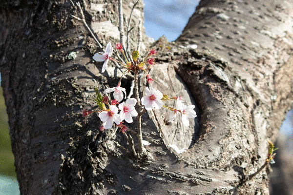 �������